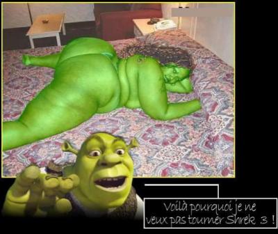 shrek 3
